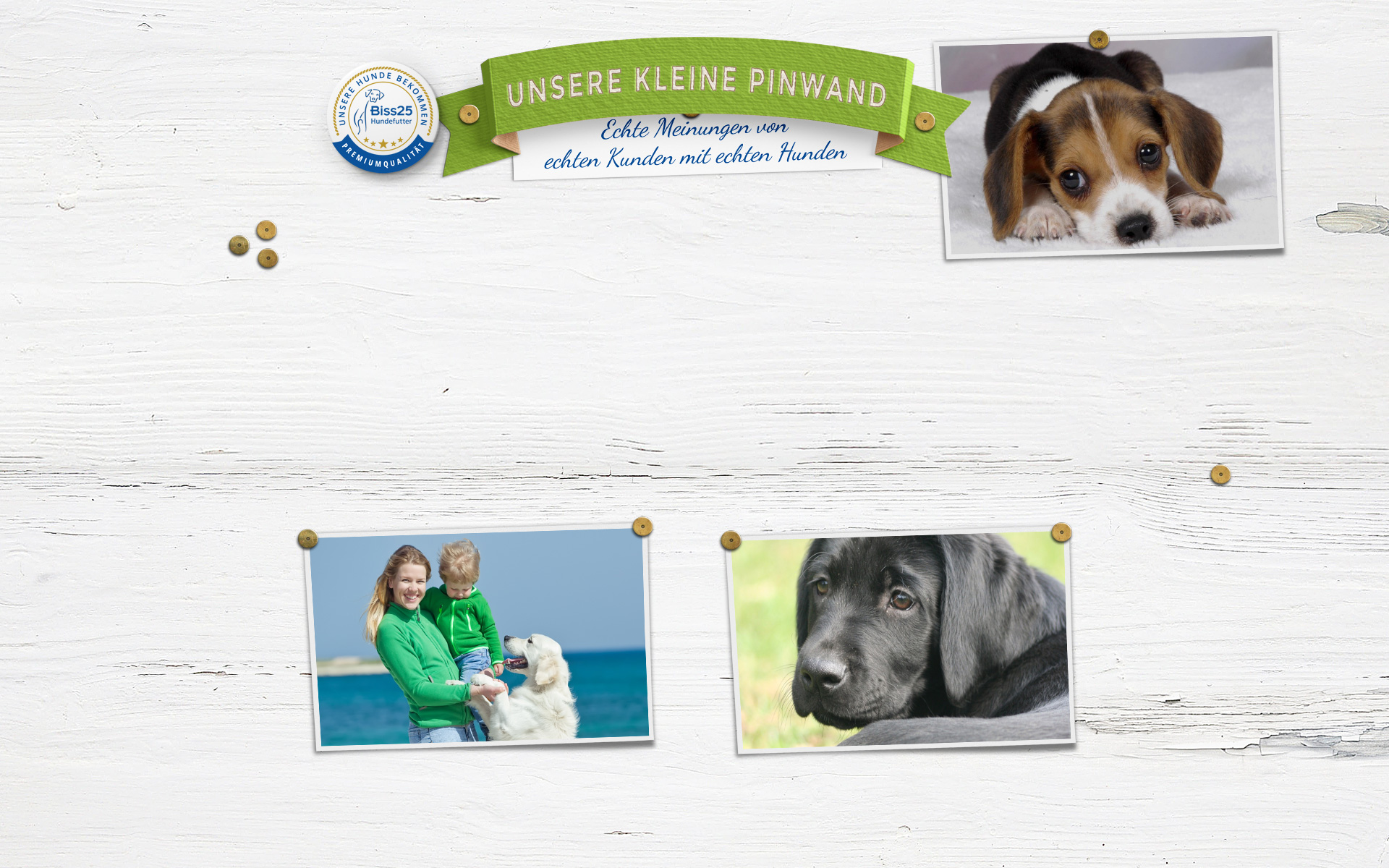 biss25 pinwand kundenmeinungen  - pinwand02 - Biss25 Premium Hundefutter Shop